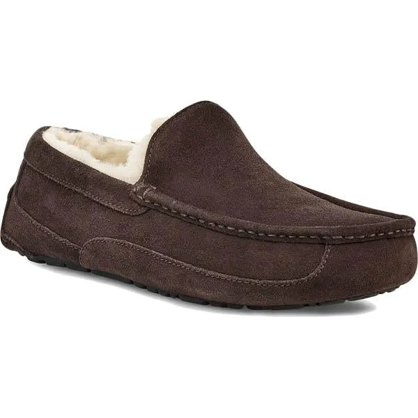 Men's Ascot