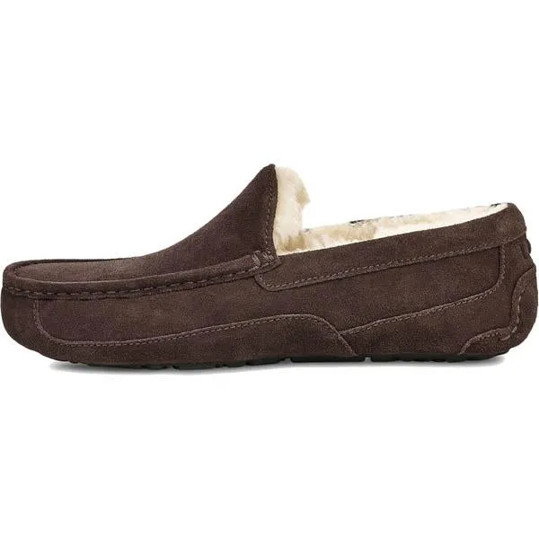 Men's Ascot